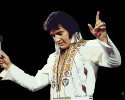 Elvis